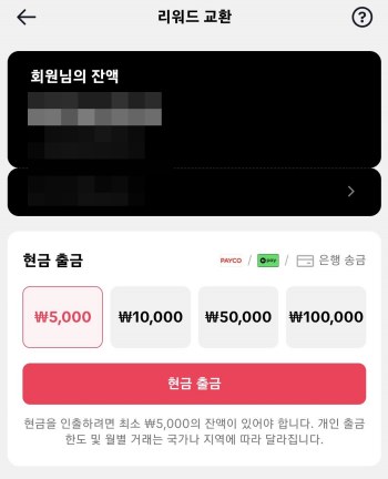 틱톡-포인트