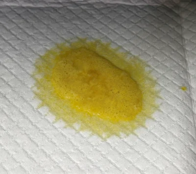 dog-vomiting-treatment