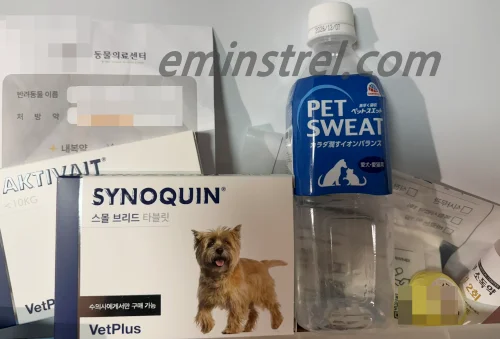 강아지 수술 후 영양제 추천