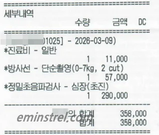강아지 심장 정밀초음파검사 비용