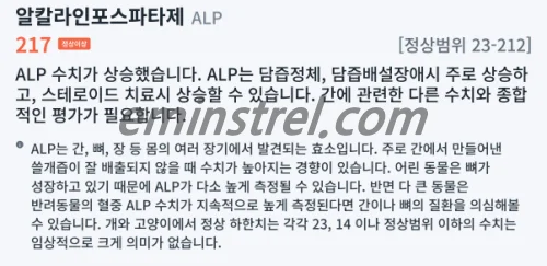 노령견 구토 원인과 대처법