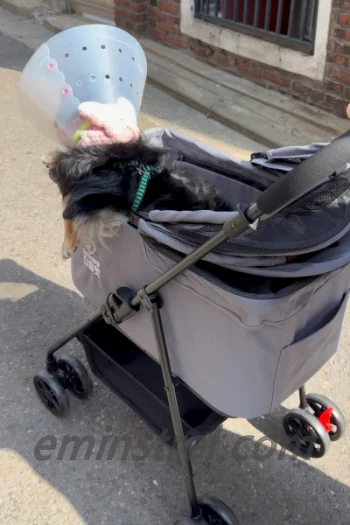 디클펫 러비어스 강아지 유모차