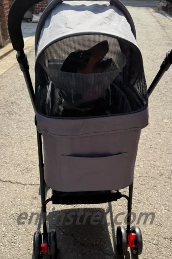 분리형 펫모차 추천